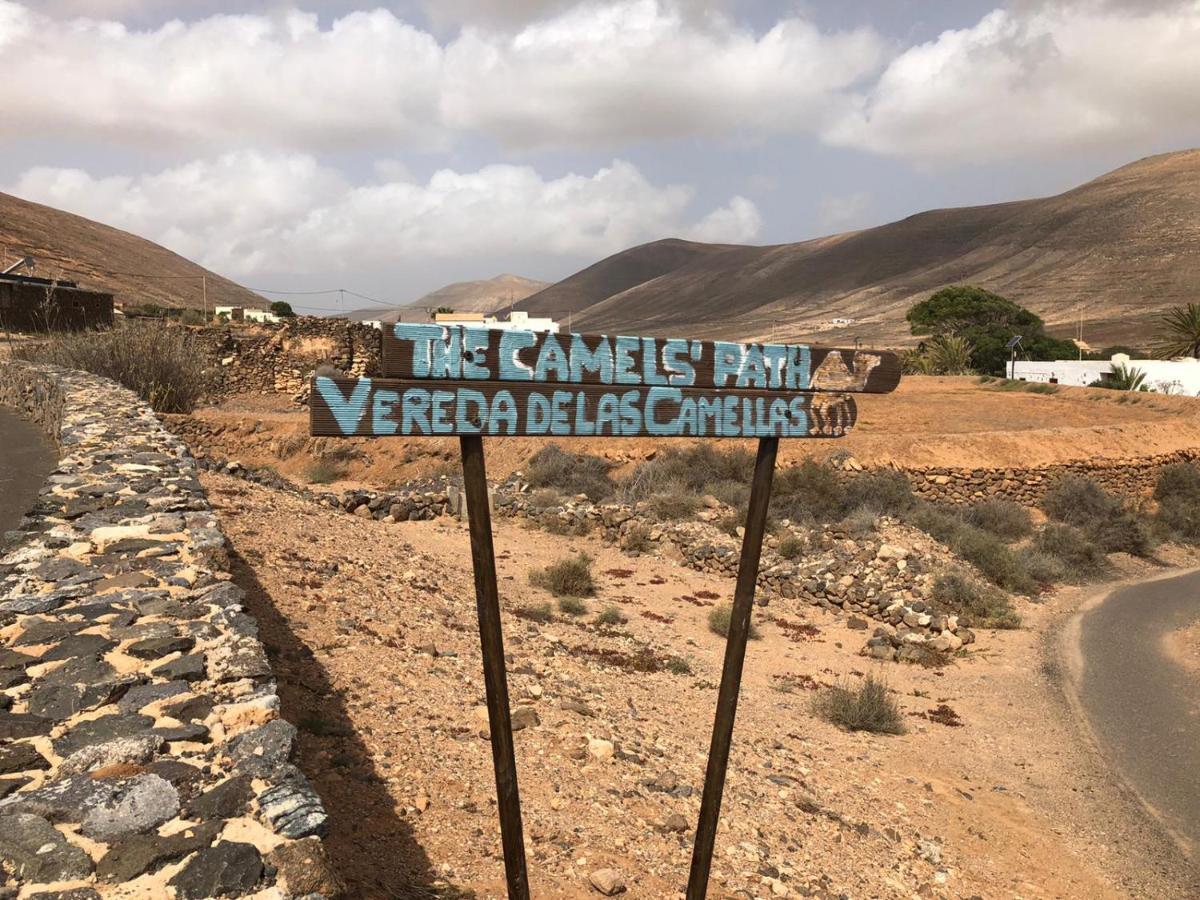 Vereda De Las Camellas Hotel Puerto del Rosario  Buitenkant foto